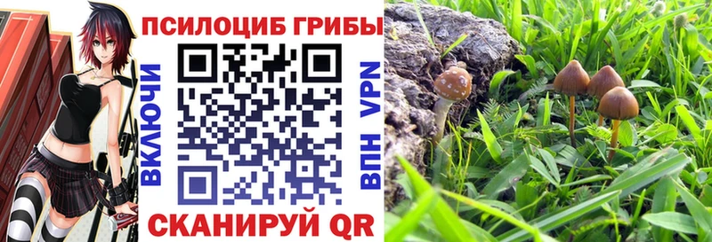 где можно купить наркотик  Астрахань  Галлюциногенные грибы MAGIC MUSHROOMS 